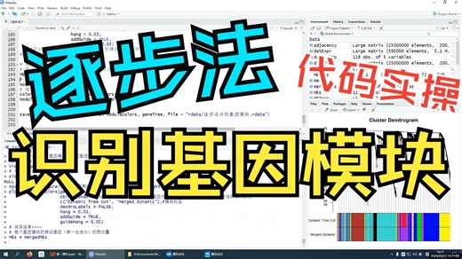 WGCNA实操讲解——逐步法识别基因模块