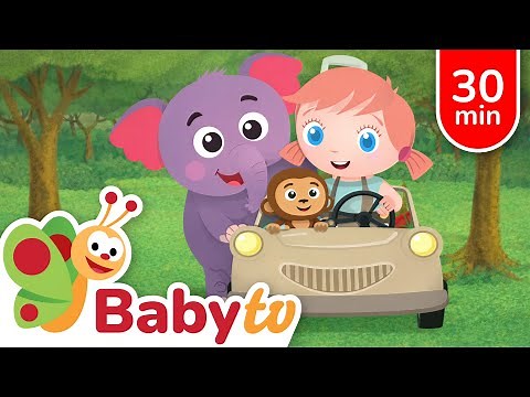 Animals for Kids - Bear. Lion, Monkeys and more 🦊 🦒 | Wild Animals Videos | Animals Cartoons‪@BabyTV‬​