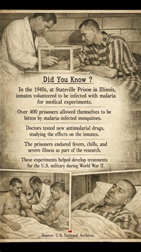 Stateville Prison Malaria Experiments (1940s) – Real WWII Medical Trials
