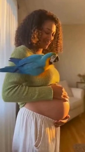 This parrot has NO chill 列 Sees a pregnant woman and instantly roasts her with: “That’s no balloon, lady!” 藍 #parrot #funnyvideos #reels #viral #lol #animals #comedy #PetComedy #ParrotDrama #WomenPregnant | Shaik Shaikshavali | Facebook