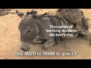 BROOKE Life Worth Living - premium text