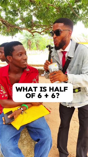 Understanding Half of 6 Plus 6: A Math Puzzle