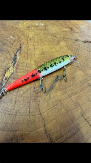 What yall know about this Smithwick Rattlin Rogue?! 🎣🔥 #bassfishing #smithwicklures #fishing