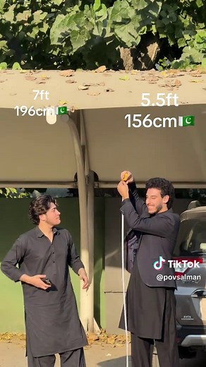 Height Comparison in Inches and Centimeters