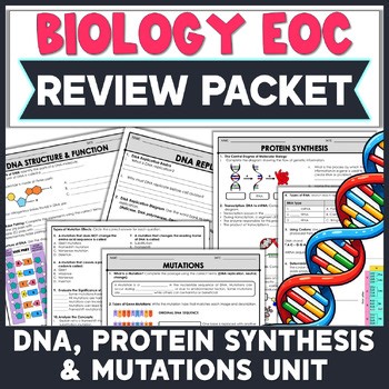 Biology EOC Review: DNA Structure & Replication | Protein Synthesis | Mutations