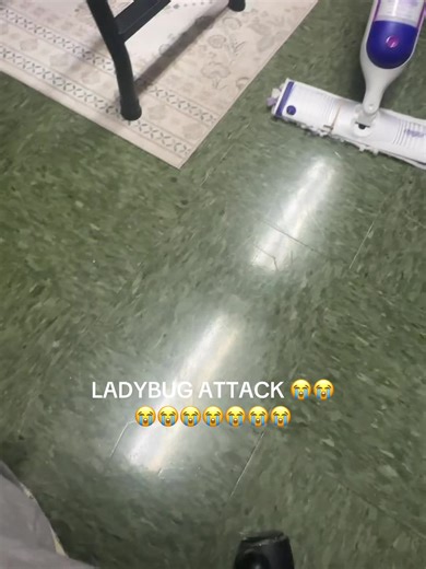 maricel 💌🎧💕 (@mariceliscool)’s video of ladybug