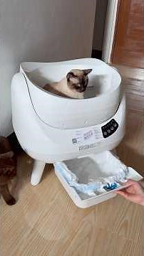 Unboxing and setting up Catlink Open-X automatic litter box 😻