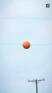 Why Are There Balls On Power Line . . . #facts #factsdaily #reelsindia #explorer #reelsforyou | Facts Stalls