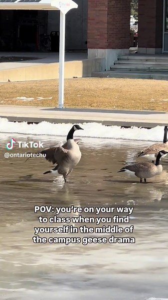 Ontario Tech on TikTok
