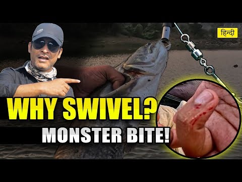 Why Swivel is Important? | Giant Wallago Attu Bite 😱 | Winter Fishing Tips