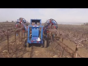 Grape Picking Robots On Vineyards