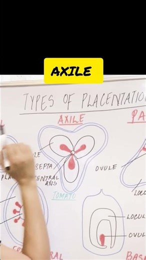 Types of Placentation in 60 Seconds 🌸 | NEET Biology