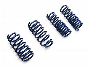 SR Performance Challenger Lowering Springs CH3115 (08-23 Challenger, Excluding SRT) - Free Shipping