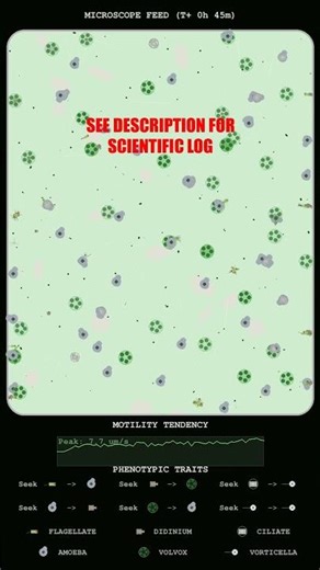 Kinetic Analysis of Multi-Species Protist Aggregation