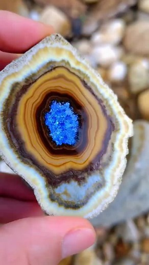 Discover Beautiful Agate with Blue Sapphire Crystals