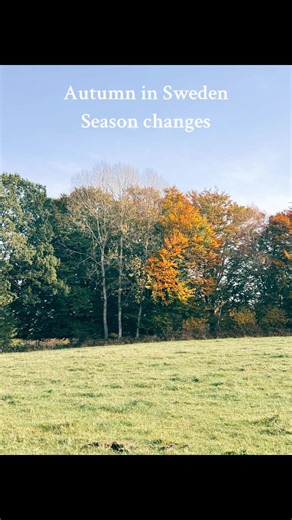 #WanderWithPurpose #LiveInspiredDaily #LifeAbroadAdventures #MindfulJourney #TravelWithHeart #SimpleLivingJoy #SpiritualVoyage #GlobalLifestyle #RelationshipWisdom #ExploreAndGrow #SoulfulTravels #HappyLifeGuidance #LiveLoveTravel #DiscoverYourPath #InnerPeaceOutwardAdventure #HappyLifeOverseas