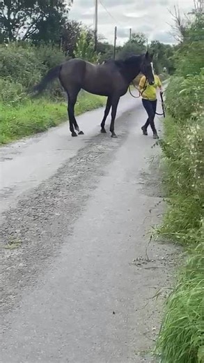 Last Man d'Arcy walking