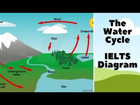 Lesson 4: IELTS Diagram: The Water Cycle