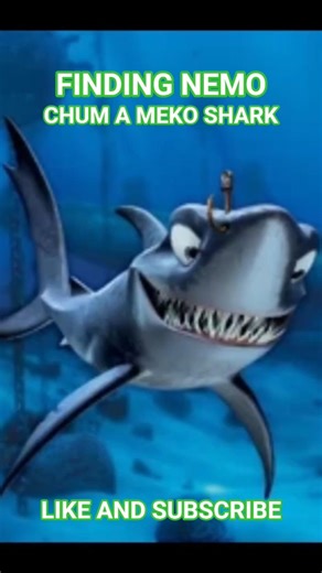 Finding Nemo Chum #fish #facts #marinemystery #marinelife #shark #fishing