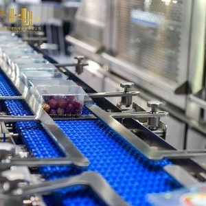 [Hot Item] Food Grade Plastic Modular Belt Conveyor for Fruit Washing Processing Line Systems