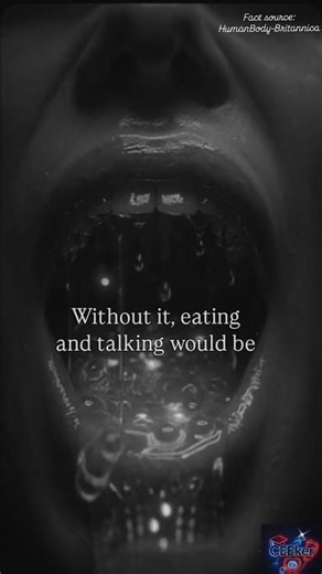 Your Mouth Makes 1 Liter of Saliva Every Day — Why?