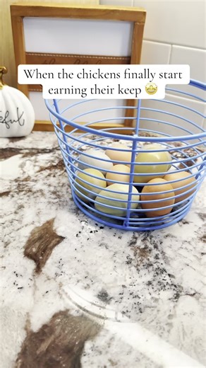 Fresh eggs on the board! 🤩 #chickeneggs #fresheggs #breakfastfordinner