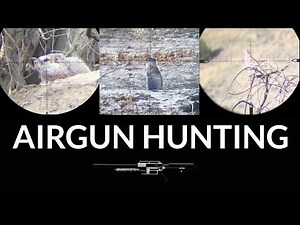 Slow Motion Airgun Hunting Compilation: Vol. 1