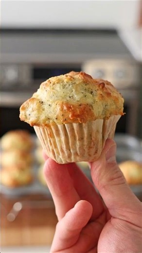 Everything Bagel Protein Muffins Recipe