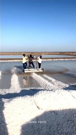 Salt Manufacturing Process In india Salt Manufacturing | Salt Production | #SsktMaking#facts #shorts