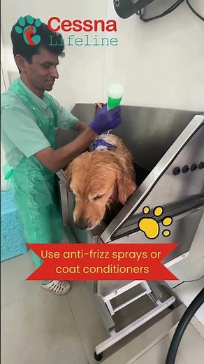 Humidity and grooming - what to keep in mind?