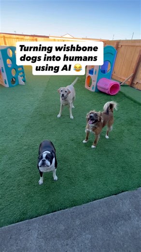 Wishbone Daycare & Grooming on Instagram: "This was an interesting reel to make… 😂"