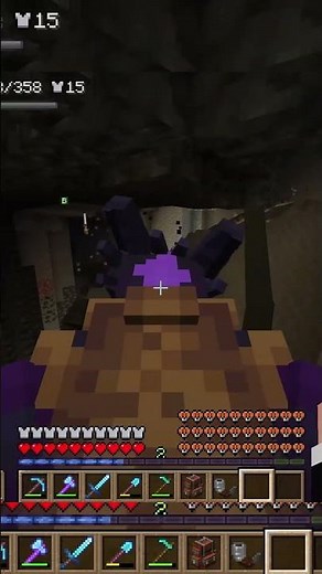Killing A Stage 5 Dragon #minecraft #gaming #moddedminecraft #howtotrainyourdragon #dragons