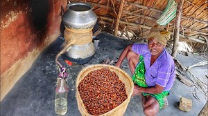 5.8M views · 36K reactions | home made natural mohua wine full making process by our santali tribe grandpa||indian tribe village | The real village cooking | Facebook