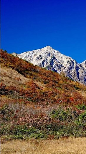 白馬連峰の紅葉絶景ハイキング 八方尾根を八方池へ