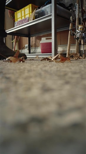 Keep your space spotless this fall with Libman! Sweep up messes fast and enjoy a clean, clutter-free season. 🧹✨ #cleanwithlibman | The Libman Company