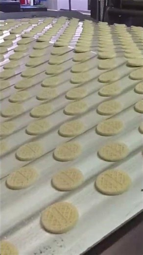 Food processing equipment for the production of soft biscuit