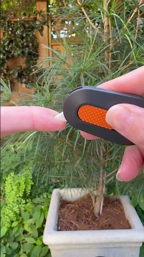 STOP Slicing Wrong and Upgrade to This Ceramic Box Cutter!