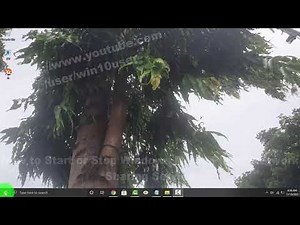 Windows 10 Home : How to Start or Stop Windows Media Player Network Sharing Service