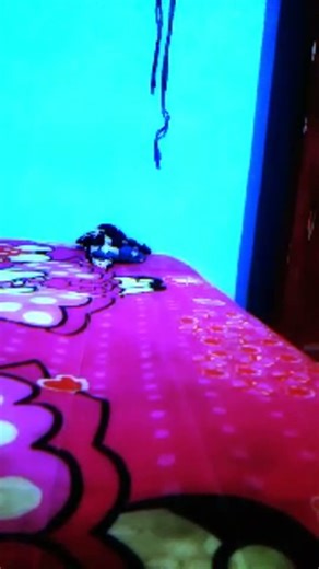 Halihap sedang live sekarang!