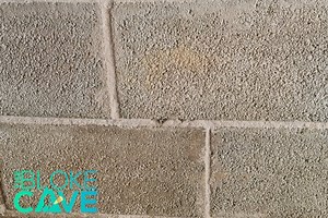 How to get rid of green mould on outside walls