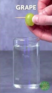 Deja de matar tus plantas… Prueba estos trucos geniales ✨