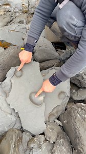 390K views · 7K reactions | This find was surreal! 勞 We used our...