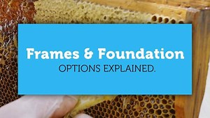 Frame & Foundation Options for a Langstroth Hive Explained