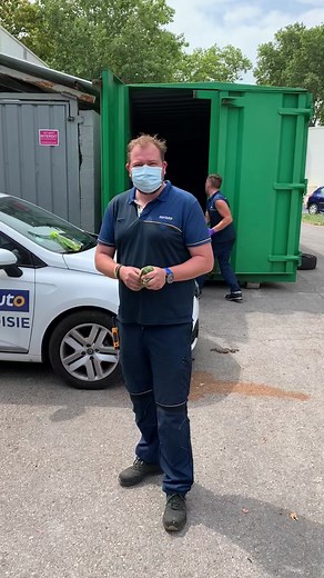 Comment personnaliser son autocollant de plaque d'immatriculation chez Norauto