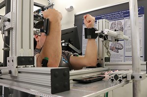 Brains and brawn: How the brain controls muscular contractions in athletic performance - Medill Reports Chicago