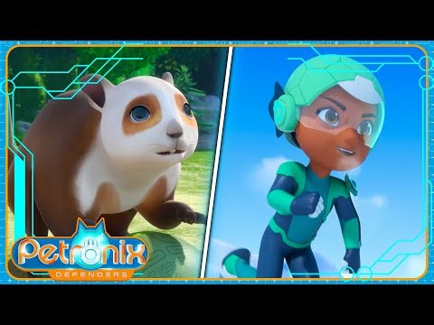 🐿️ FLYING SQUIRREL RESCUE (Part 1) | 🌎 PETRONIX Defenders 🐾 | Cartoon for kids