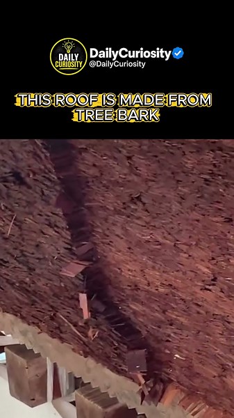 This Is How Traditional Japanese Roofs Were Finished by Hand #didyouknow #youtubeshorts #facts