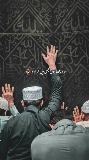 beautiful short clip 🥰🥰🥰 #youtubeshort