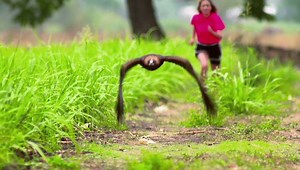 ¡Paulina Goto, Mane De la Parra Oficial y Andrés Palacios te enseñarán a volar en El vuelo de la Victoria#GranEstreno 10 de julio a las 5:30 pm Mx #ConLasEstrellas! | Las Estrellas