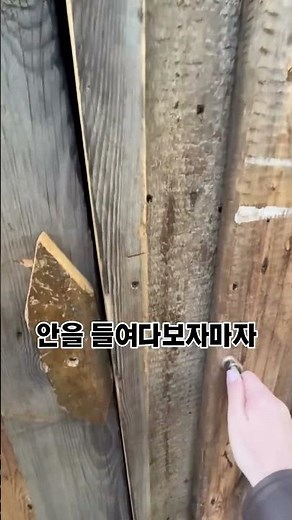 러시아 이르쿠츠크 지역이래요
